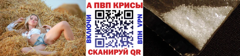 Где купить наркотики Суджа Амфетамин Мефедрон Псилоцибиновые грибы ГАШИШ