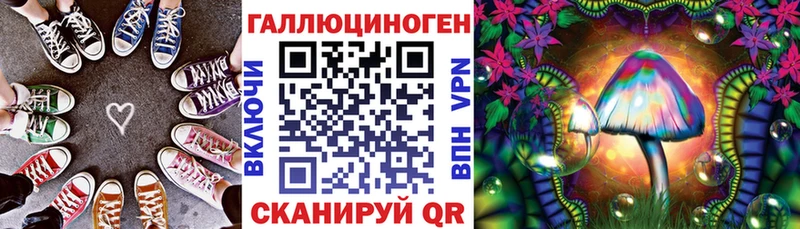 Галлюциногенные грибы мицелий Суджа
