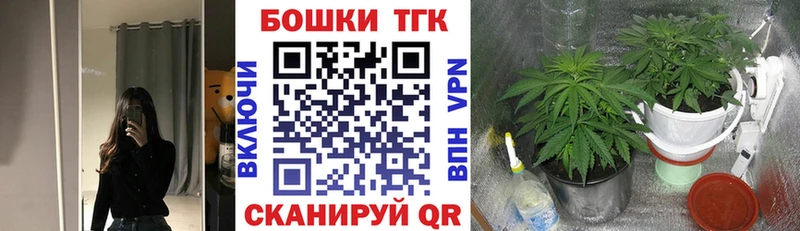 Бошки Шишки гибрид  Суджа 